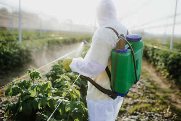 Reliable Grandview, TX Pest Control Solutions